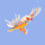 Finches Flying in Morning Light no.3